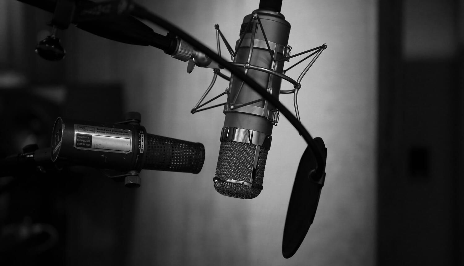 CanadianVoiceActors.com
